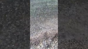 Санаторий Металлург Столовая, чем кормят - подробный обзор еды. Поездка в Адлер. Базар Адлера #сочи