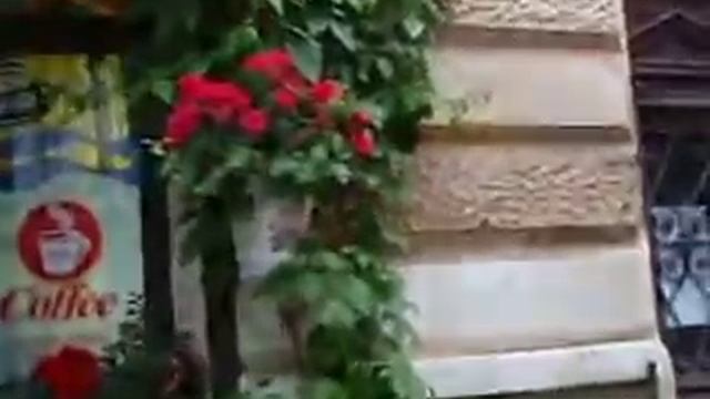 Какое-то кафе на площади Филармонии смотреть онлайн