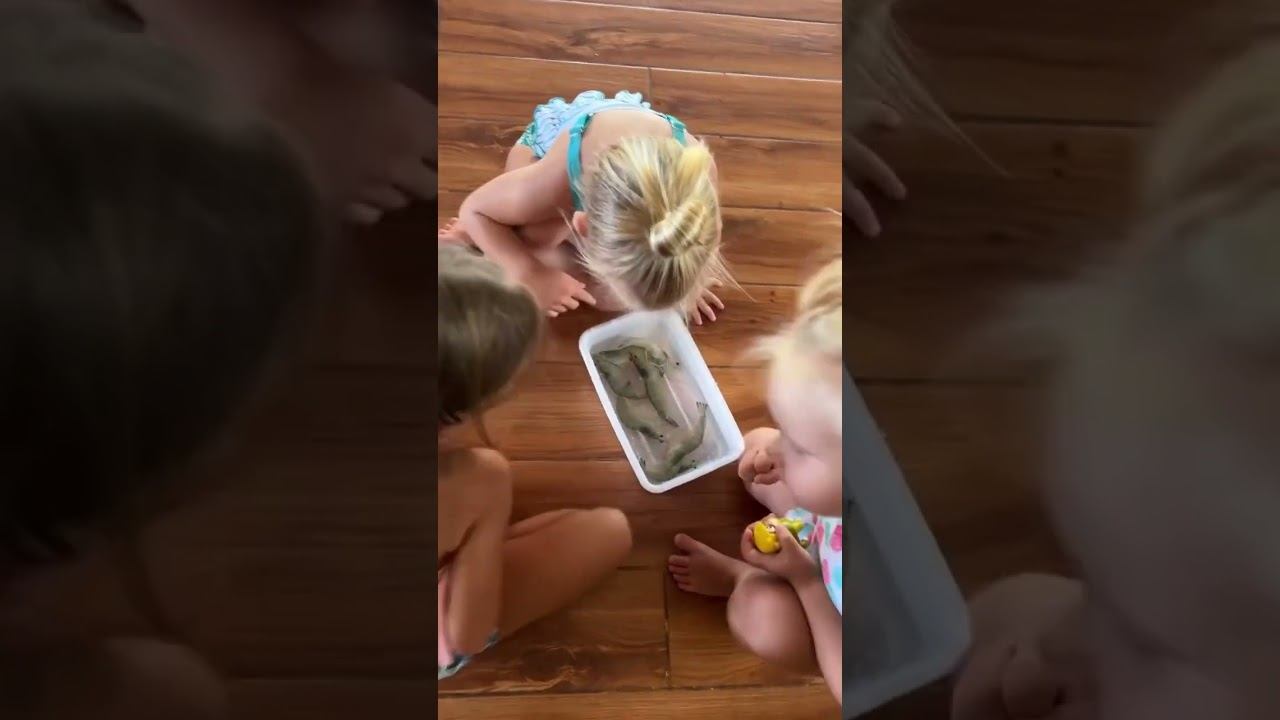 За креветками #креветонаяферма#филиппины#дочки #мамаблогер #многодетнаясемья #сестрички#двойняшки смотреть онлайн