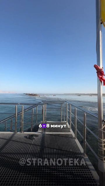 ПРЕМИАЛЬНЫЙ ОТДЫХ в ЕГИПТЕ смотреть онлайн