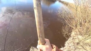 Рыбалка на паук. Караси богатыри.