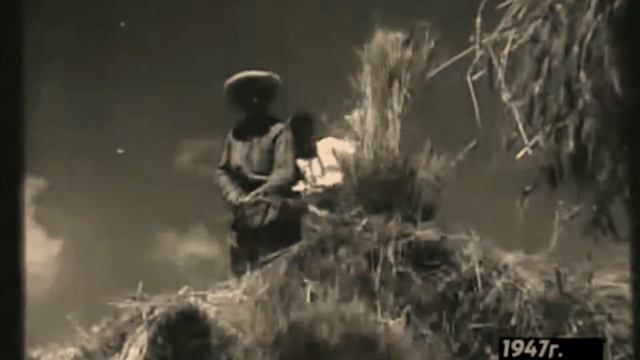 Kafa Ali Ligidov. Хьэдыгунэ и къафэ смотреть онлайн