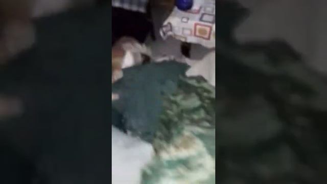 Армейское снаряжение!) смотреть онлайн