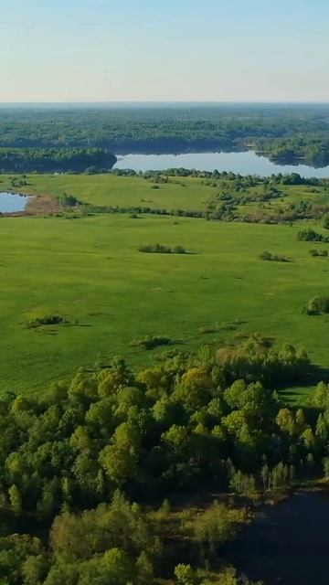 Land on the lake - Best Ground | Земля на берегу - Лучшие Земли | www.715-77-77.ru | Продажа земли смотреть онлайн