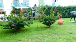 Обзор отеля Club Hotel Belpinar 4*, Турция 2020 (часть 1)