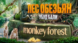 Экскурсия Лес обезьян в Убуде. Остров Бали. Индонезия. Обзор Павла Георгиева.