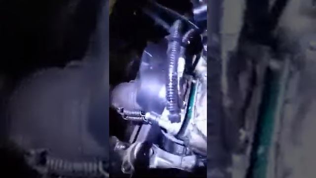 Ужасное обслуживание сервиса Активный отдых смотреть онлайн