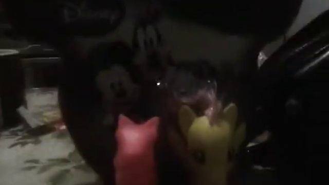 Саша+Настя (Лошади)