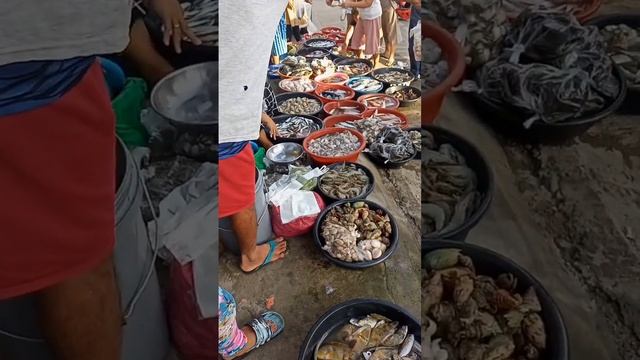 Fresh Very Low Price #shortvideo