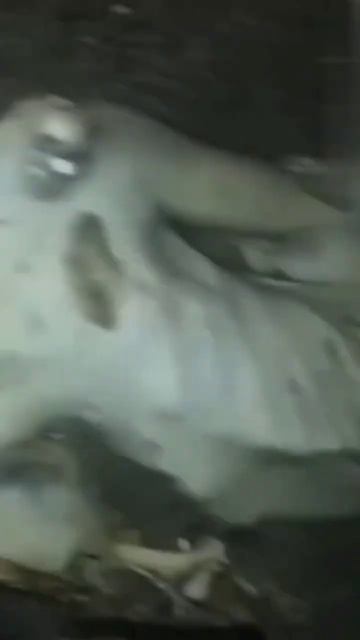 Выбросило странное существо. Голова собаки, тело с руками и ногами, напоминающее тело человека. смотреть онлайн