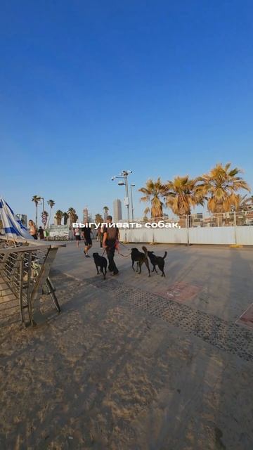 Моя любимая часть жизни в Израиле 💙 #репатриация #тельавив #хайфа #батям #репатрианты #иерусалим смотреть онлайн