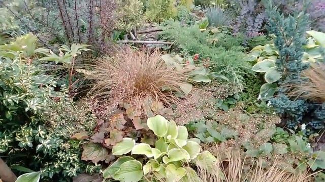 Нілині мандри🚗. 1 серія. Осінній сад пані Лесі.🍁 Злаки в саду.🌾 смотреть онлайн