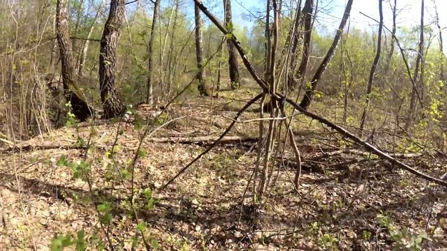 Прогулки на природе, часть 4. Мценский район смотреть онлайн