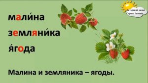 Словарные слова   Лес