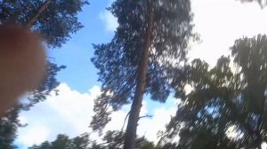 Поездка на базу отдыха. ТурБаза на Хопре