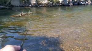 Речная рыбалка в Приморском крае на воблеры в стиле ультралайт.