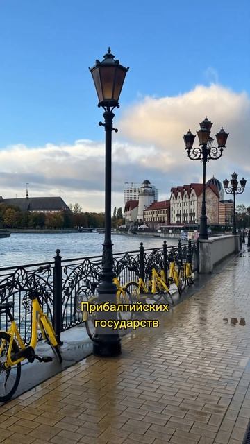 КАЛИНИНГРАД- сколько часов лететь?✈️ #калининград #балтийскоеморе смотреть онлайн