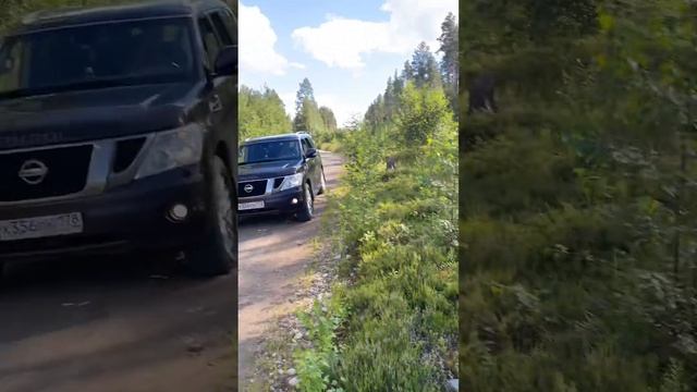 Наш летний отдых в Карелии на турбазе Сондалы 2024 смотреть онлайн