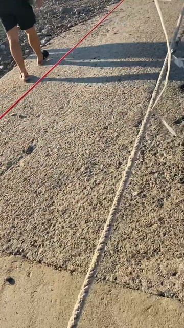 Чукча на море приехала😆всему удивляюсь #сочи2023 #шексна #сочи #санаторийсочи #отдыхвсочи смотреть онлайн