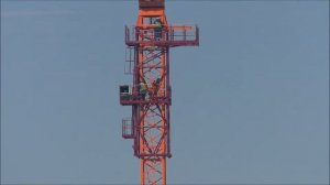 Как собирают башенный кран