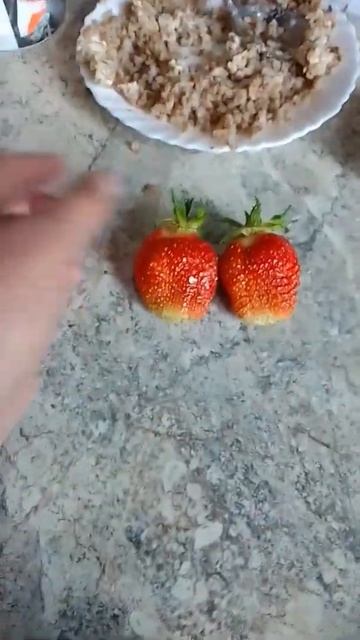 28 июня 2022 г. смотреть онлайн