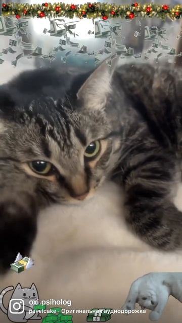 💰💸МАГИЯ ДЕНЕГ💸💰 #мотивация #счастье #я #психология #друзья #помощь #любовь #отношения смотреть онлайн