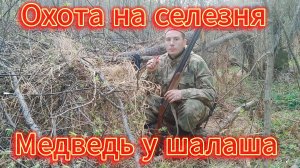 ОТКРЫТИЕ ВЕСЕННЕЙ ОХОТЫ НА СЕЛЕЗНЯ . МЕДВЕДЬ БРОДИЛ У ШАЛАША. СОБРАЛ ДИКИЙ ЛУК.