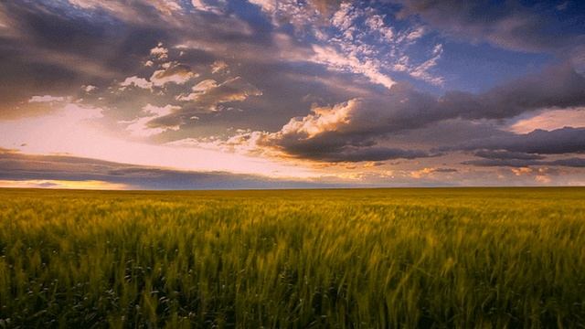 ЗА РЕКОЙ-слова Надежды Шкариной музыка исполняет Юрий Старцев баян смотреть онлайн