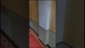 Китай 2024. Жаохэ. Гостиница Сюшуй.