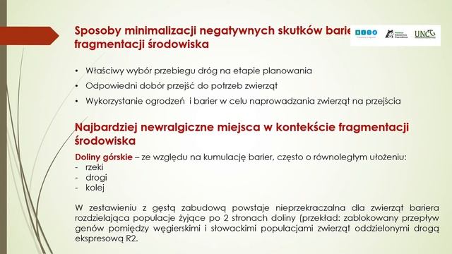 Przejścia dla zwierząt w inwestycjach transportowych смотреть онлайн