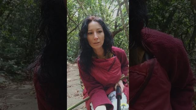 1.1 Как личные переживания и жизненный опыт повлияли на Ваш путь к нумерологии и психологии?