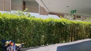 Обзор отеля Bella Nara Phuket Naiyang Beach 4* Пхукет, Най Янг