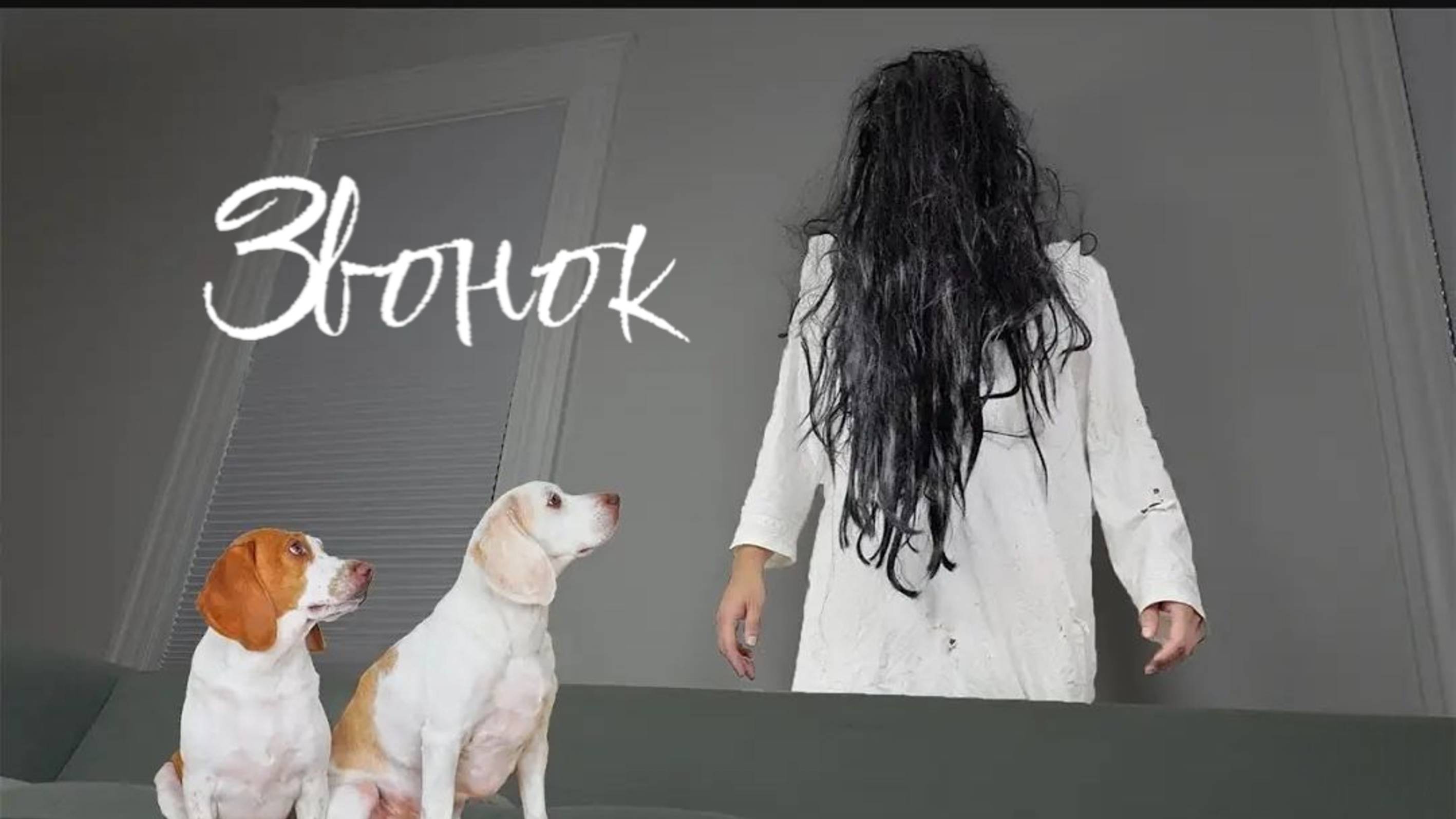 Собачки страшилки против звонка