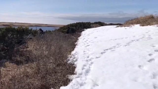 Весенняя охота 2020 смотреть онлайн