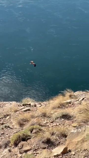 Что для вас самое удивительное что есть на земле? Для меня это люди🫂 Спасибо тебе мой дружочек ❤️ смотреть онлайн