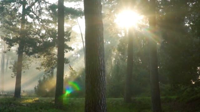 Тарас Бурак - Пообіцяй щоранку посміхатись