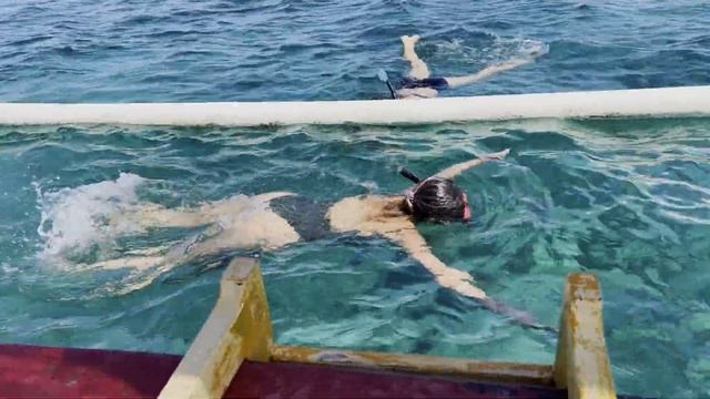 Наша поездка на север Бали. Погружение к планктонам и дельфинам смотреть онлайн