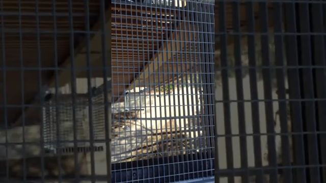 Башня в Юрмале смотреть онлайн