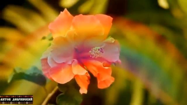 Антон Дебрянский. Искажение символики