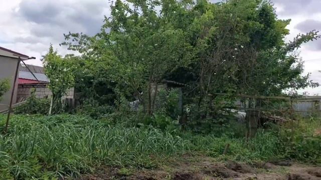 У мамы сажаем помидоры 🍅/Дочка танцует лезгинку👏🥰#декрет#буднисребенком#Терек# смотреть онлайн