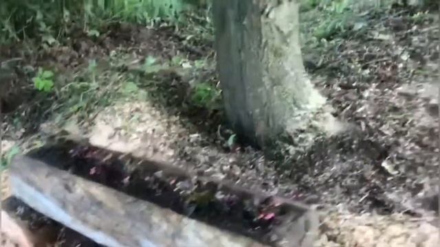 Благоустройство родника в Дубечино смотреть онлайн