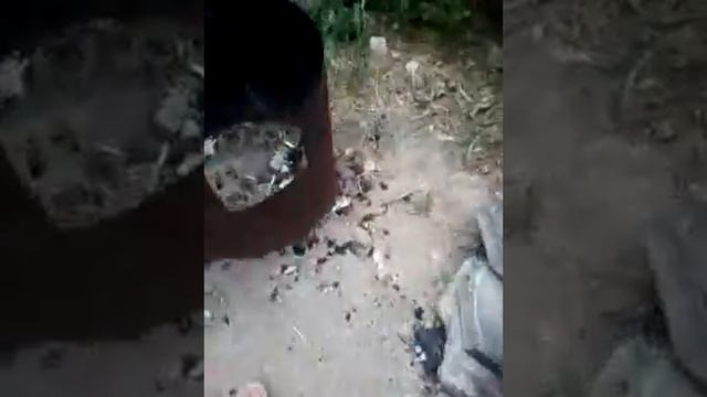 Я НА БАЗЕ ОТДЫХА нашла двух кошек! !!! смотреть онлайн