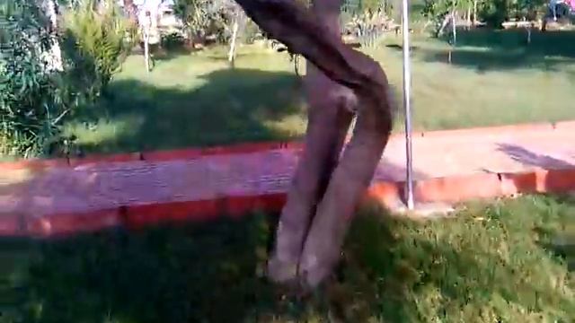 заключительный день в Caretta Beach Турция смотреть онлайн