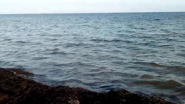 Хорлы пляж до открытия сезона смотреть онлайн