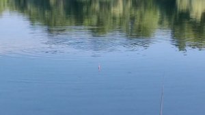 Рыбалка Краснодарский край. Лето 2024. Беляевские карьеры.