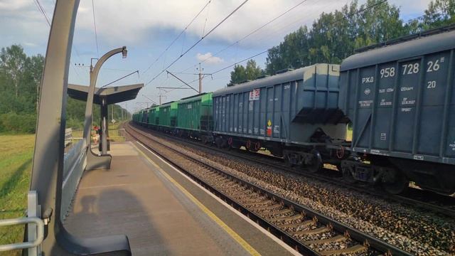 ЖЕСТЬ! Вот это Тифон! Тепловоз Ц36-7и-1523 на о.п. Парила смотреть онлайн