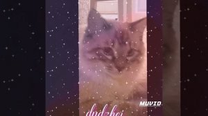 песня дядя полицейский feat.sorry jesus