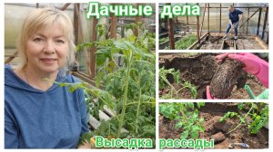 Высаживаем РАССАДУ ТОМАТОВ.Что ПОЛОЖИЛА в ЛУНКИ Как готовим грядки Есть пострадавший