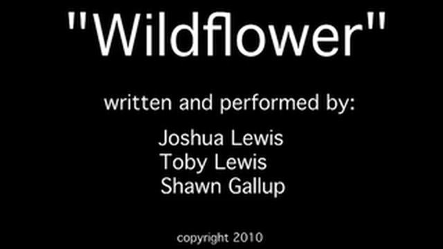 Wildflower Triathlon Song смотреть онлайн