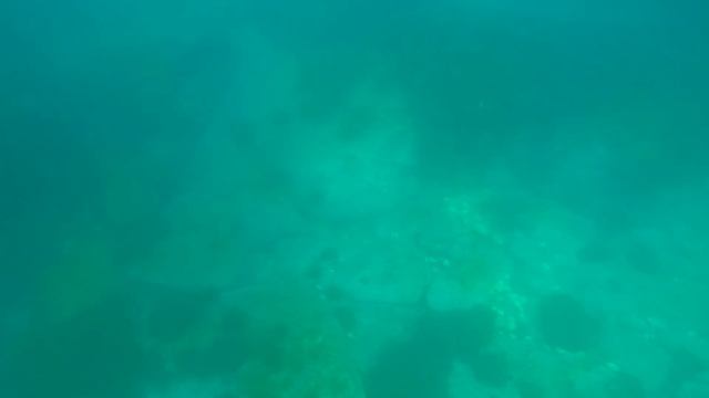 Экскурсия на катере. Триозёрье. Вокруг островов🌊 смотреть онлайн